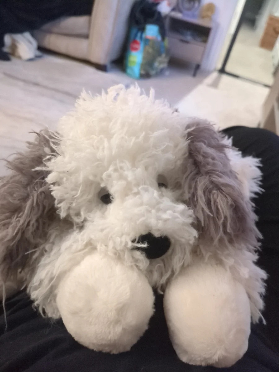 Front - Floofie Sheepdog photo by Jellycat Joy !!