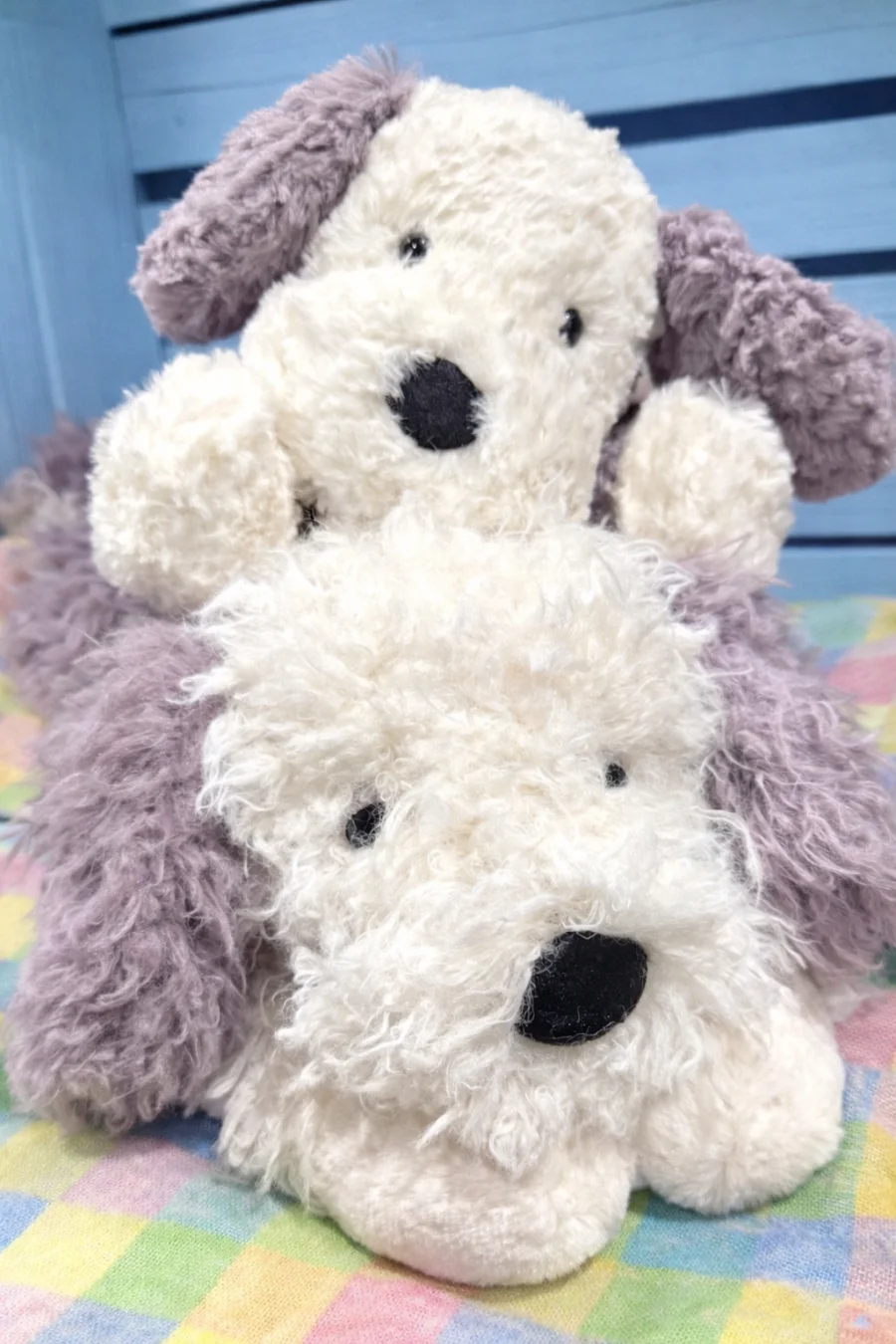 Front - Floofie Sheepdog photo by JellyFolk