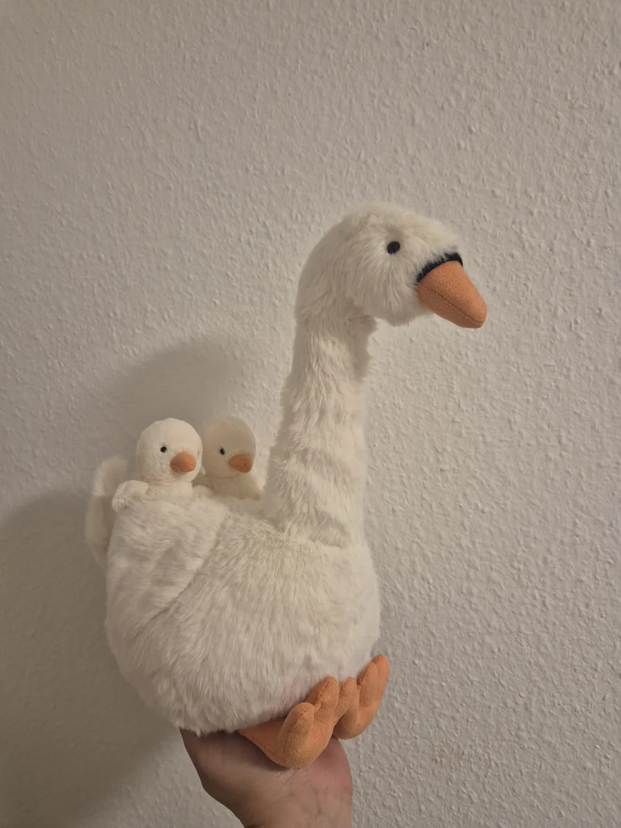 Side - Featherful Swan photo by Helena