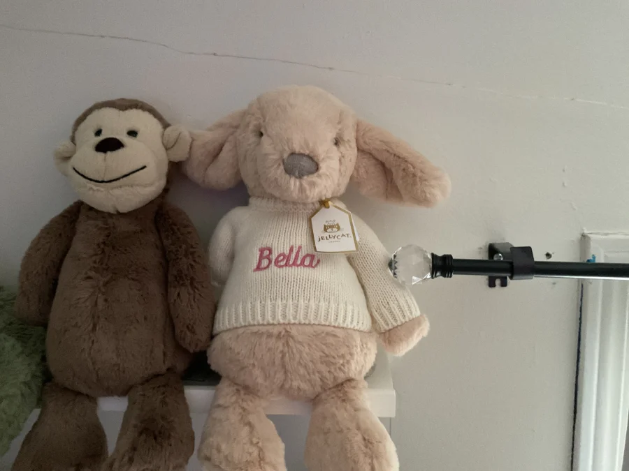 Front - Bashful Luxe Puppy Orlando with Personalised Cream Jumper photo by Bellyjelly4444