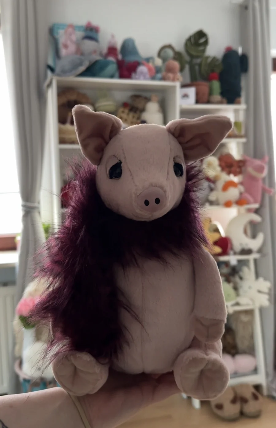 Front - Glamorama Pig photo by nelesjellycorner