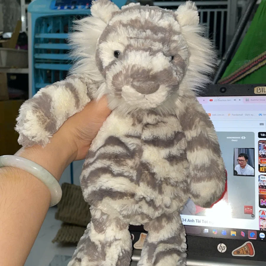 Front - Bashful Snow Tiger photo by Tiff