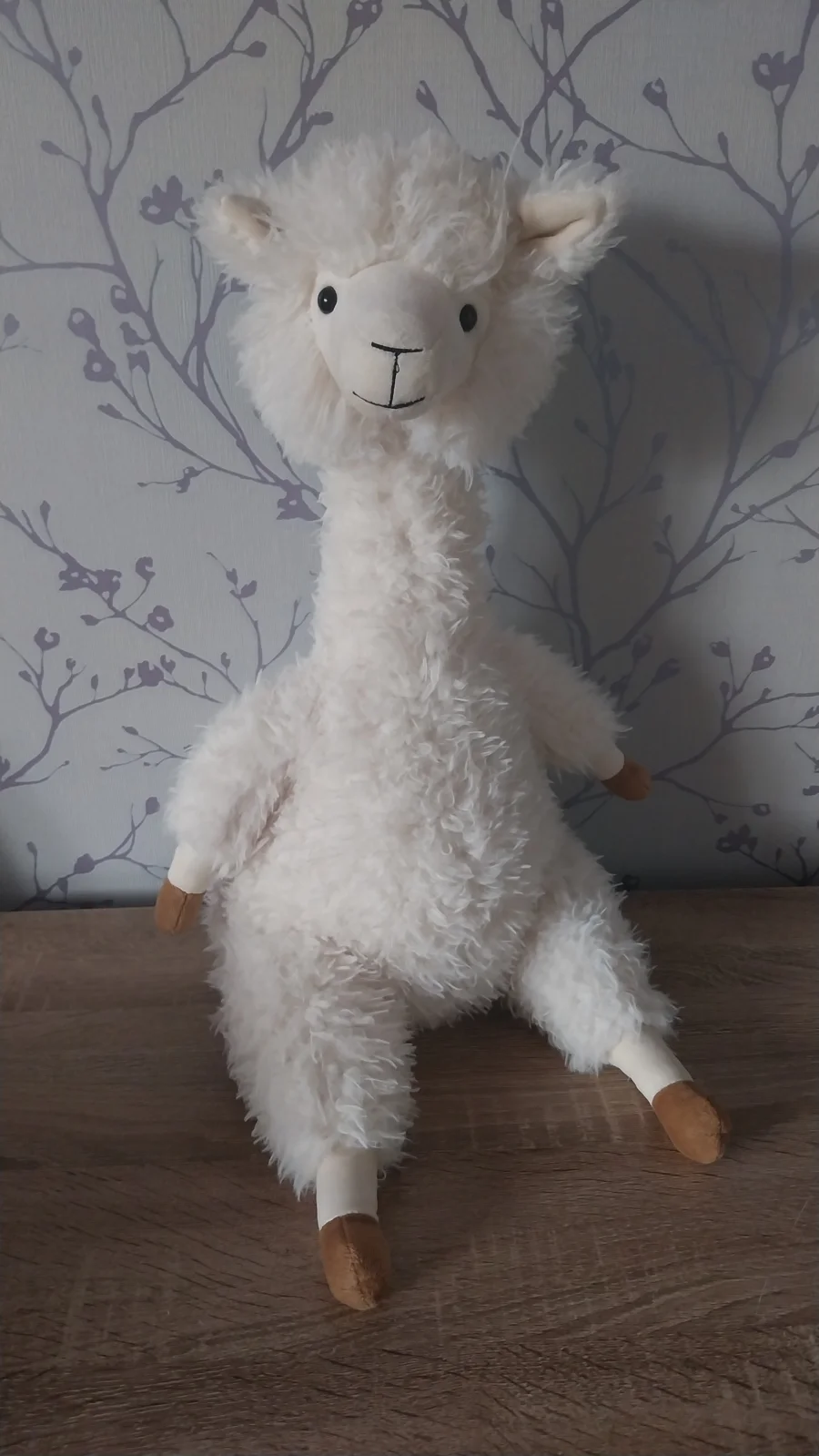 Front - Alonso Alpaca photo by Hope_Collectablez