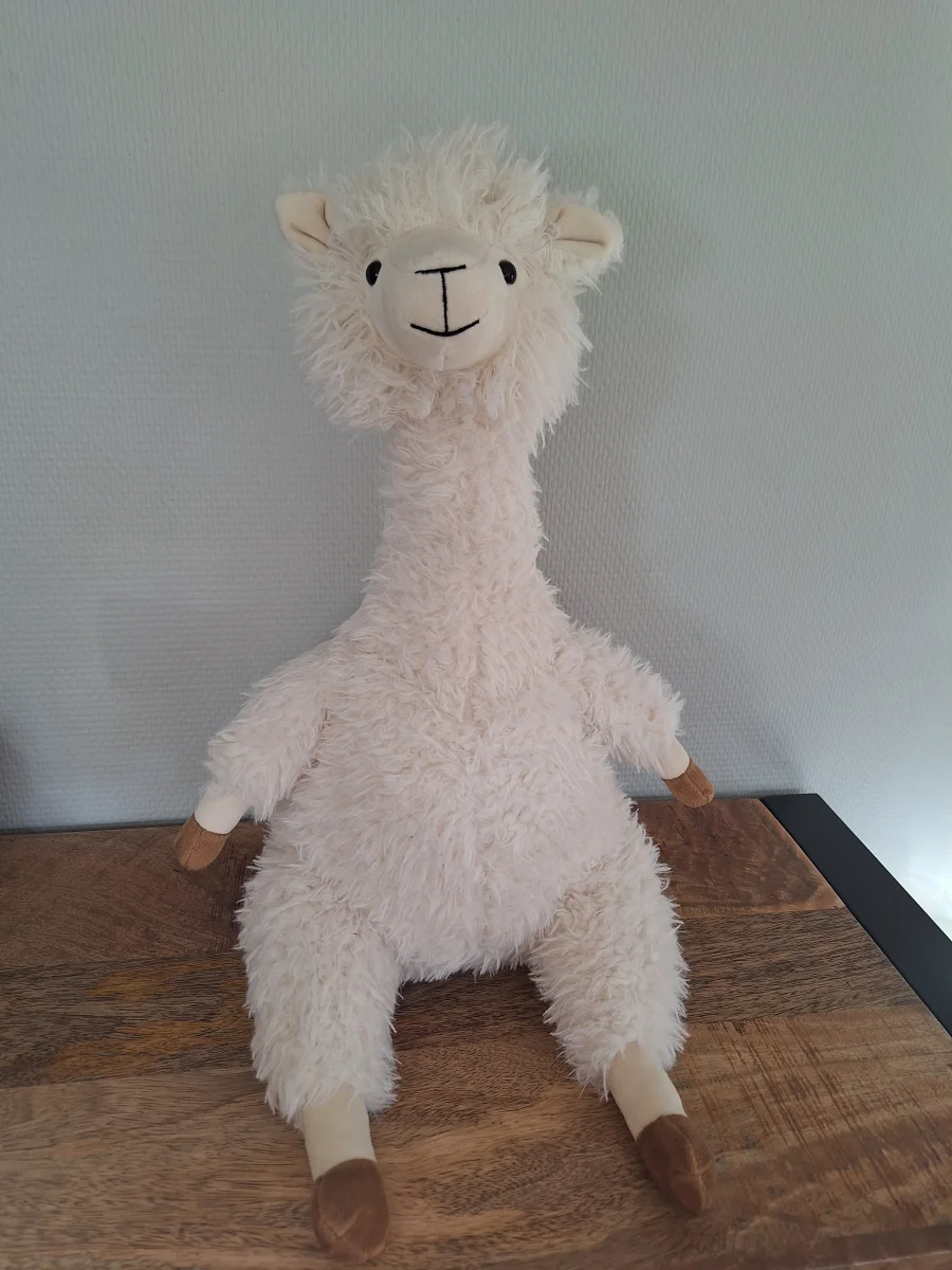 Front - Alonso Alpaca photo by Sofie