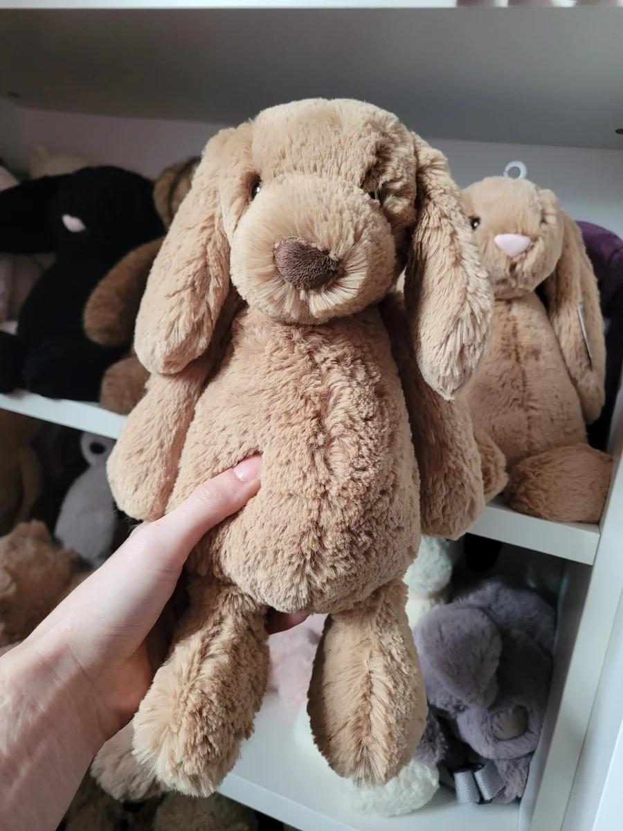 Front - Bashful Toffee Puppy - Medium photo by Kitsfae
