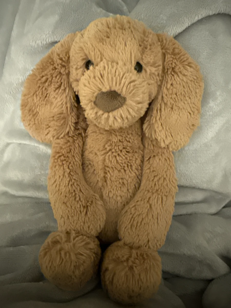 Front - Bashful Toffee Puppy - Medium photo by maddycat130