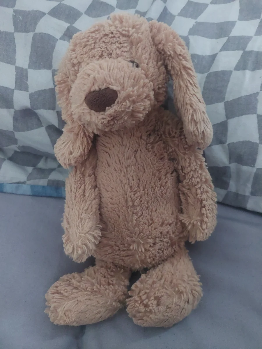 Front - Bashful Toffee Puppy - Medium photo by Alfielovescars