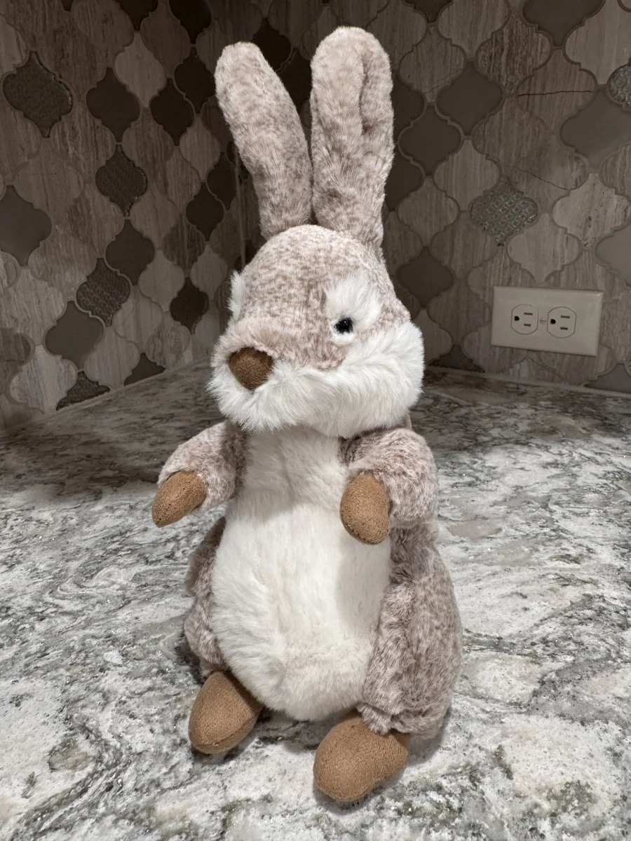Front - Ambrosie Hare photo by SnowLeopard821