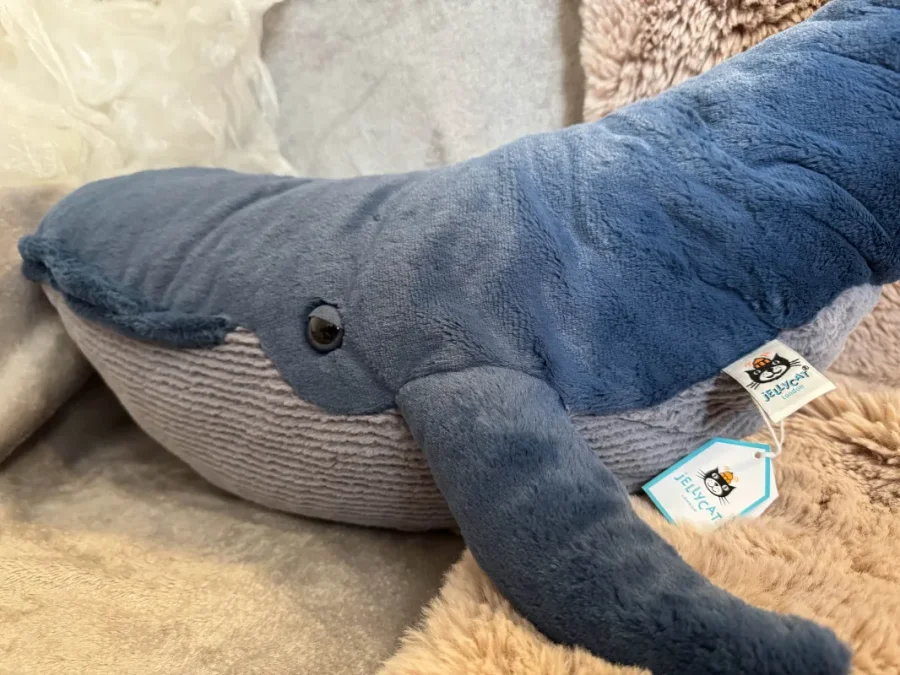 Side - Gilbert the Great Blue Whale photo by haus_ofholbein