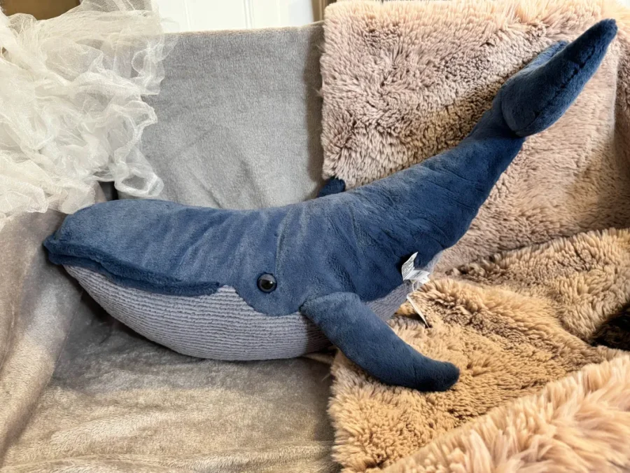 Side - Gilbert the Great Blue Whale photo by haus_ofholbein