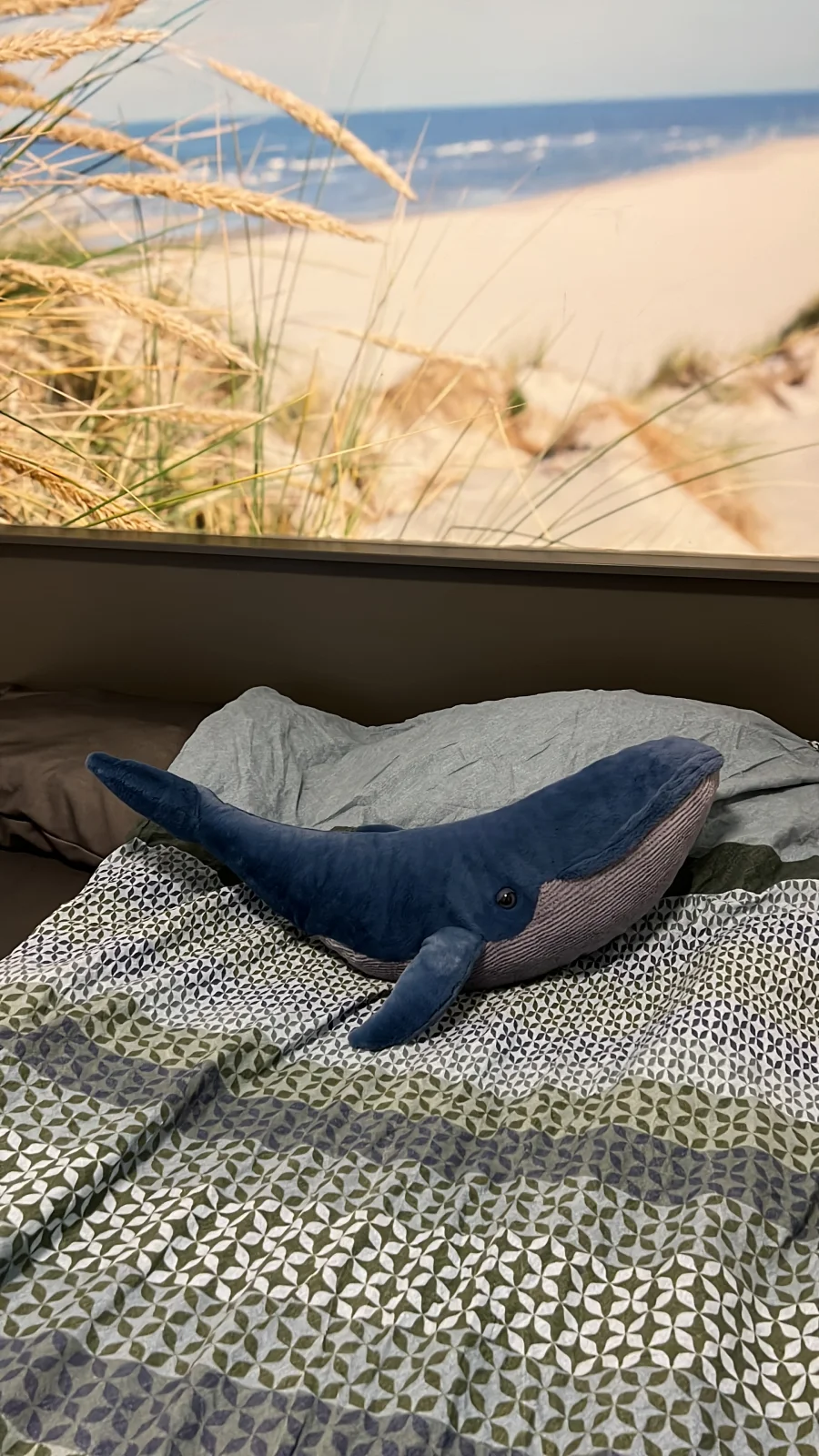 Front - Gilbert the Great Blue Whale photo by Amberverhoef