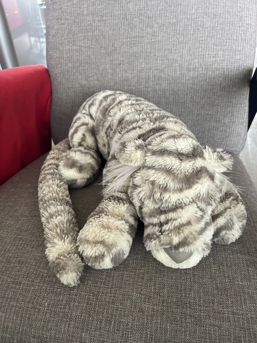 Lifestyle - Sacha Snow Tiger - Large photo by Elsa_H