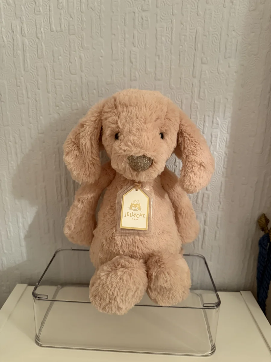 Front - Bashful Luxe Puppy Orlando photo by Bethanyxox