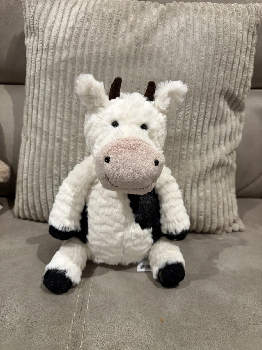 Front - Mooliet Cow photo by Seni113
