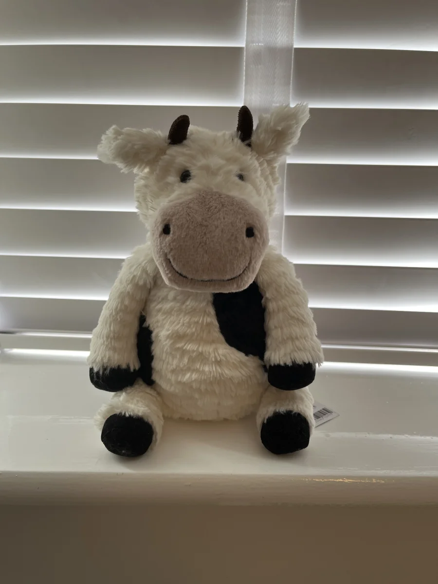 Front - Mooliet Cow photo by aliceisawesome