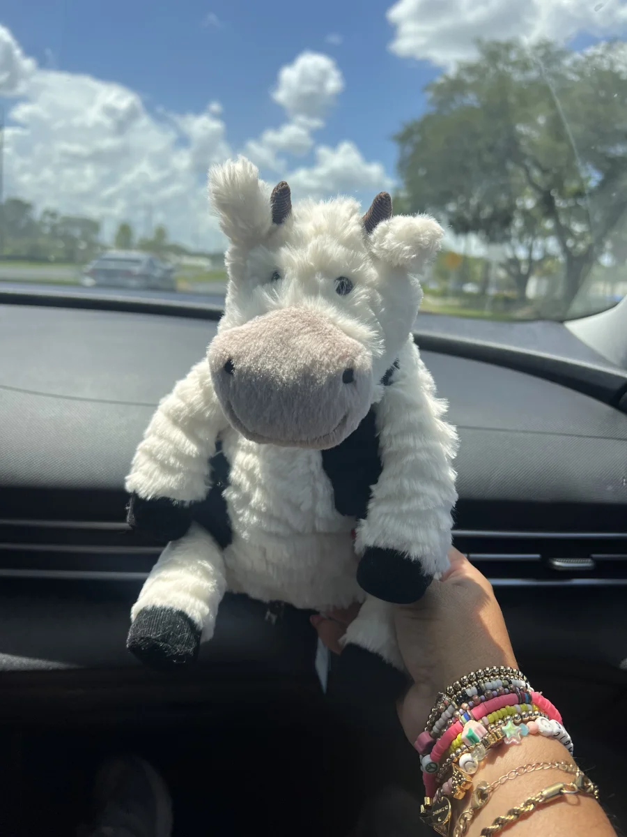 Front - Mooliet Cow photo by bronzieandthejellies