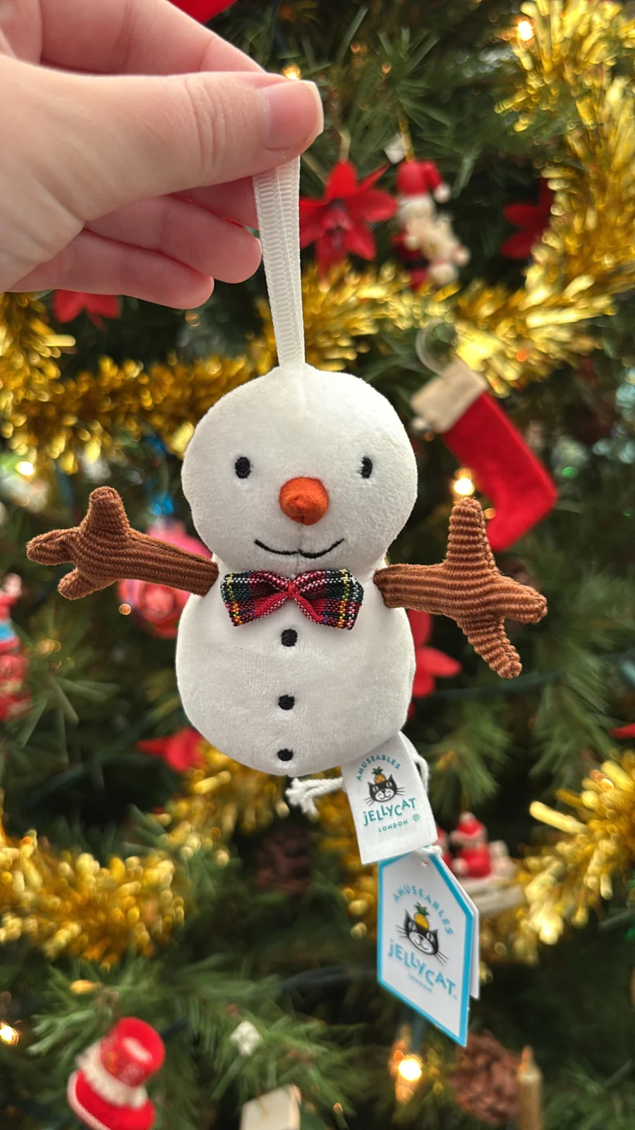 Front - Festive Folly Snowman photo by Jelly_Journey
