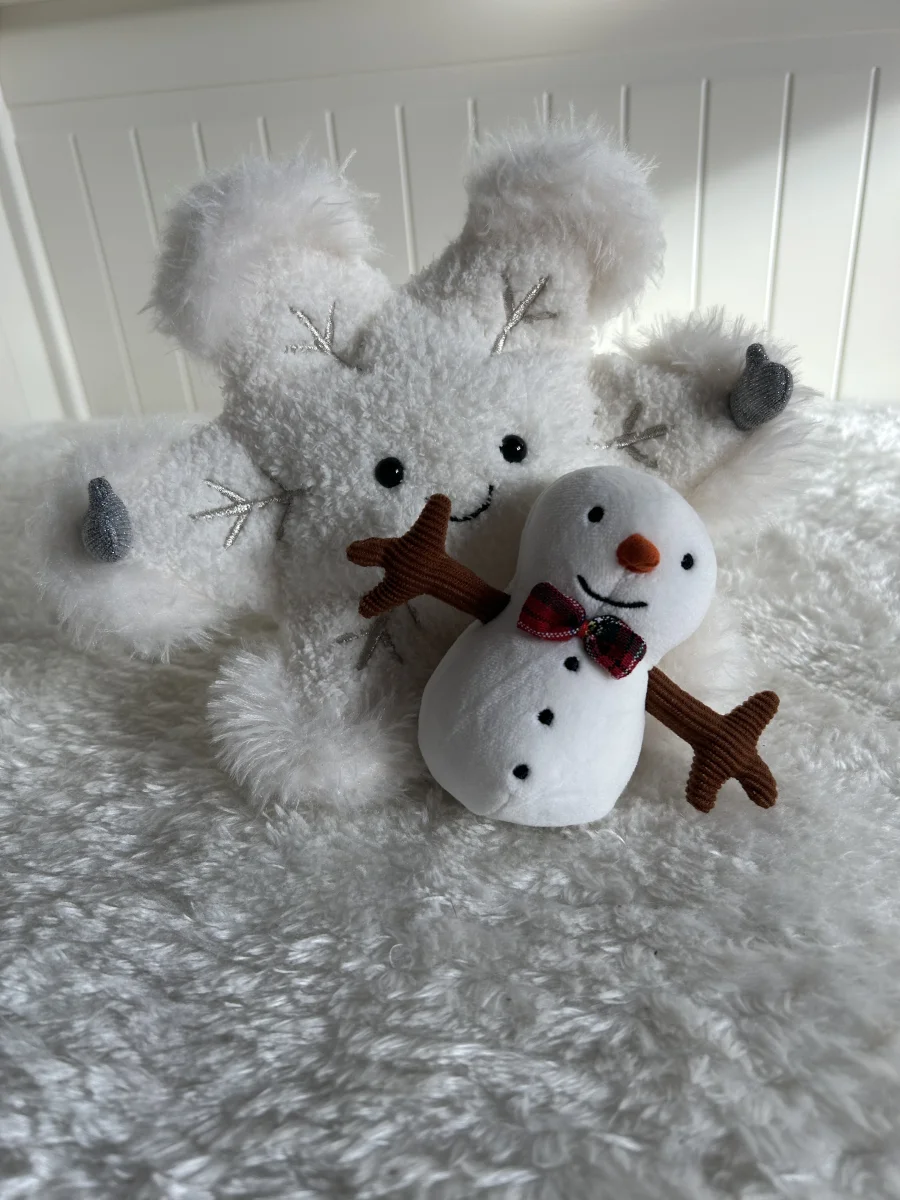 Front - Festive Folly Snowman photo by TishWish