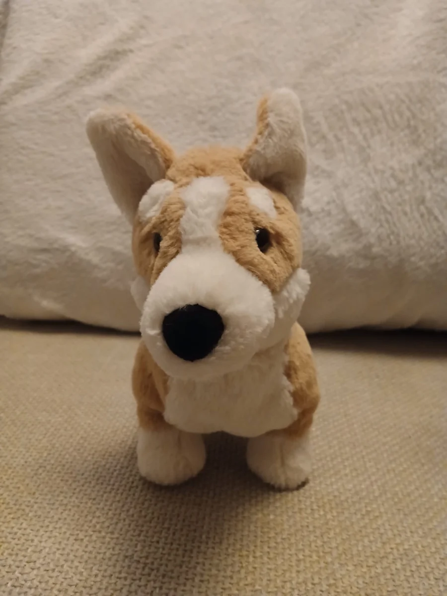 Front - Betty Corgi photo by Cuddleplushie1