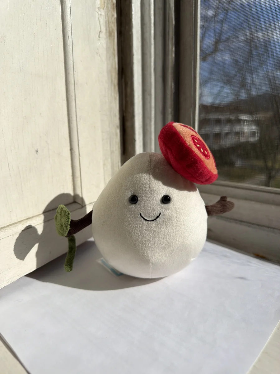 Front - Amuseables Mozzarella photo by katsjellies