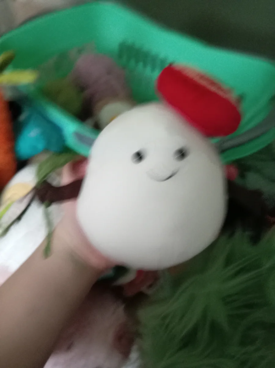 Front - Amuseables Mozzarella photo by Skyandbear