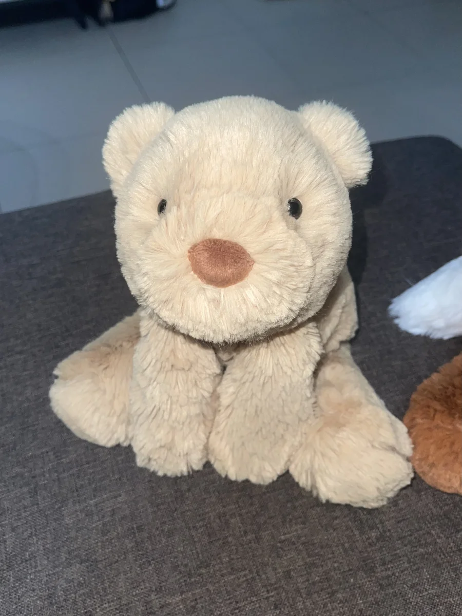 Front - Smudge Bear - Medium photo by jiaxuan