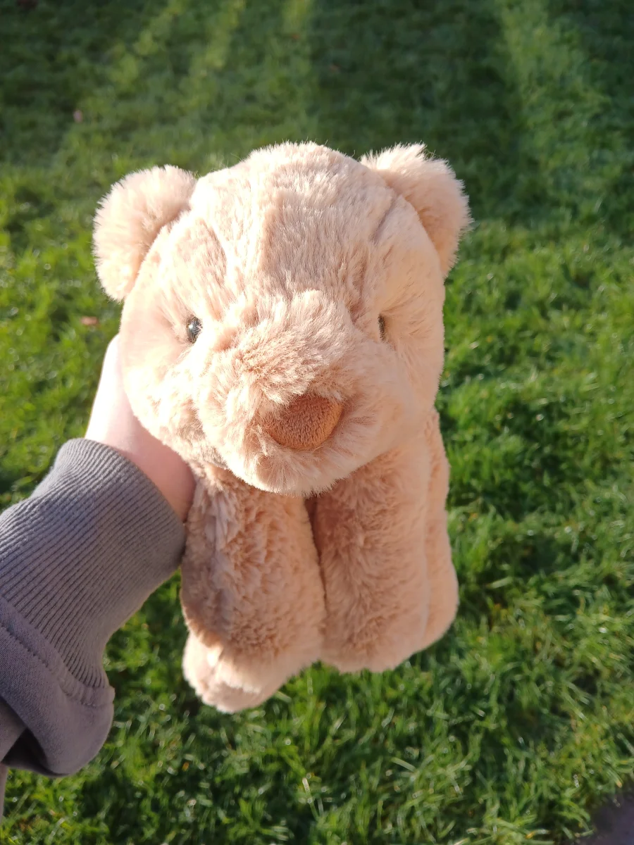 Front - Smudge Bear - Medium photo by SmudgeMonkey101