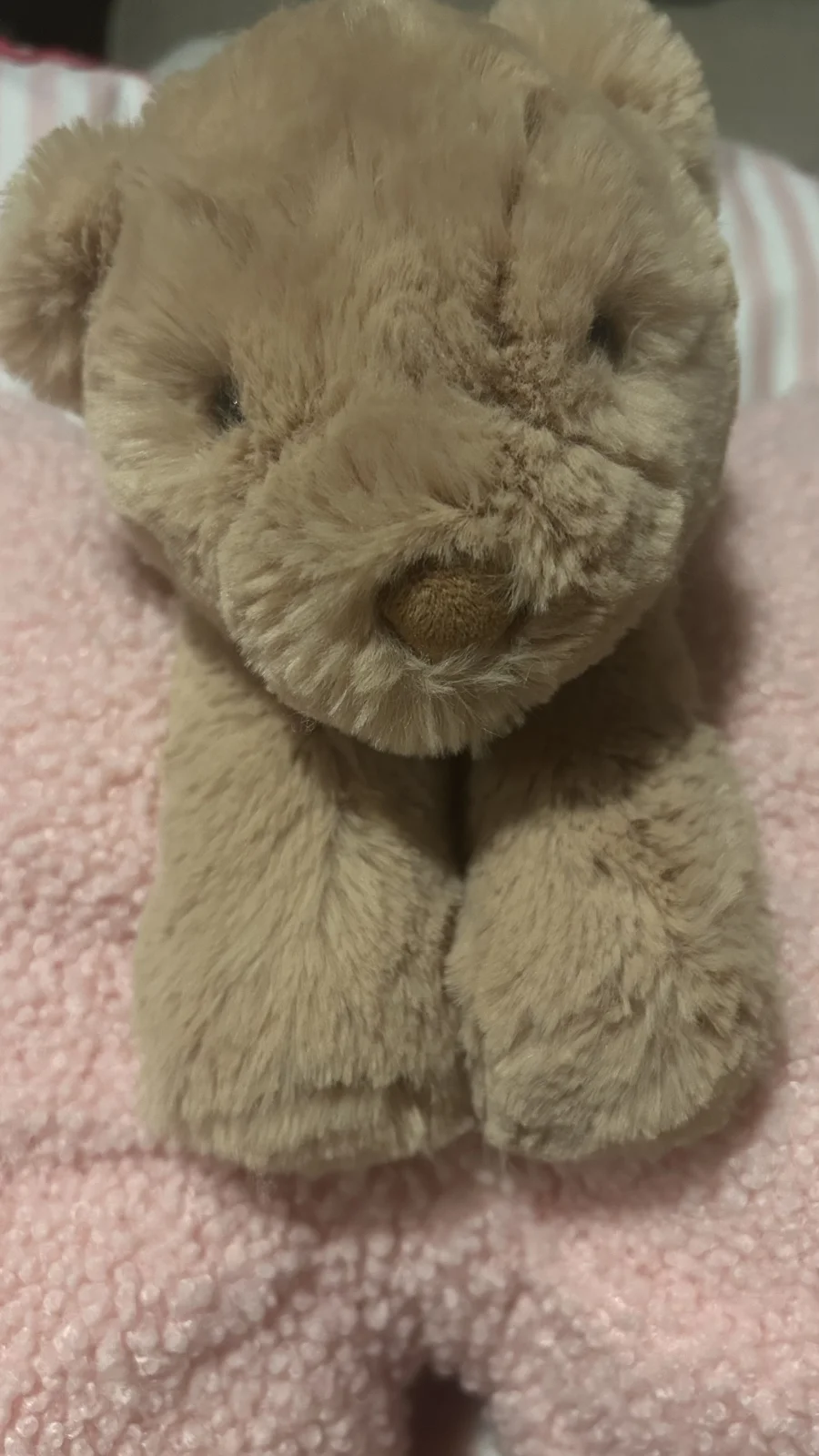 Front - Smudge Bear - Medium photo by Jellycat_Joy<3