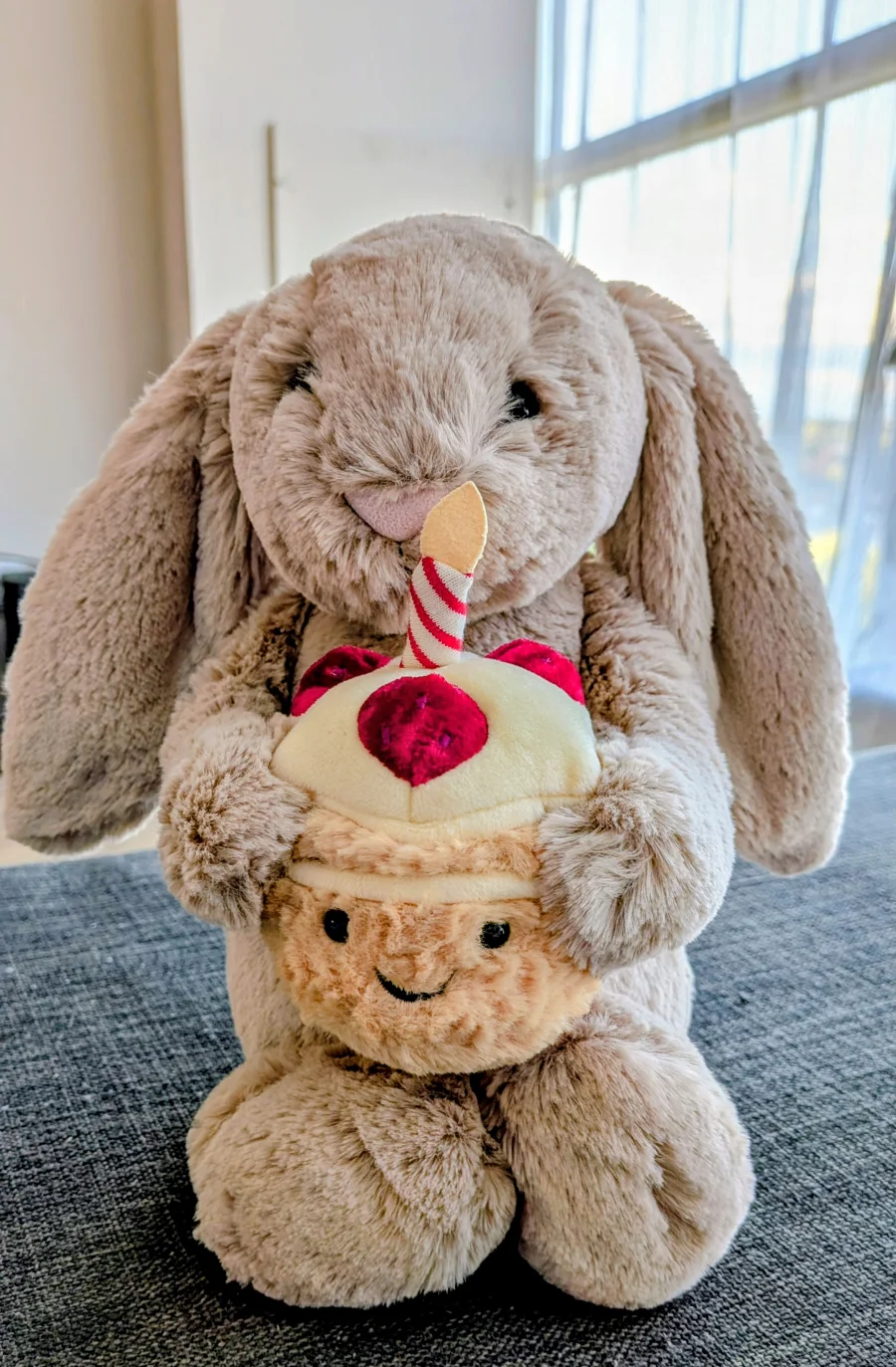 Front - Bashful Beige Bunny 'Birthday' photo by Iselalexa