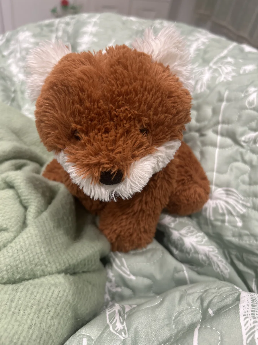 Front - Smudge Fox - Medium photo by Bellarose