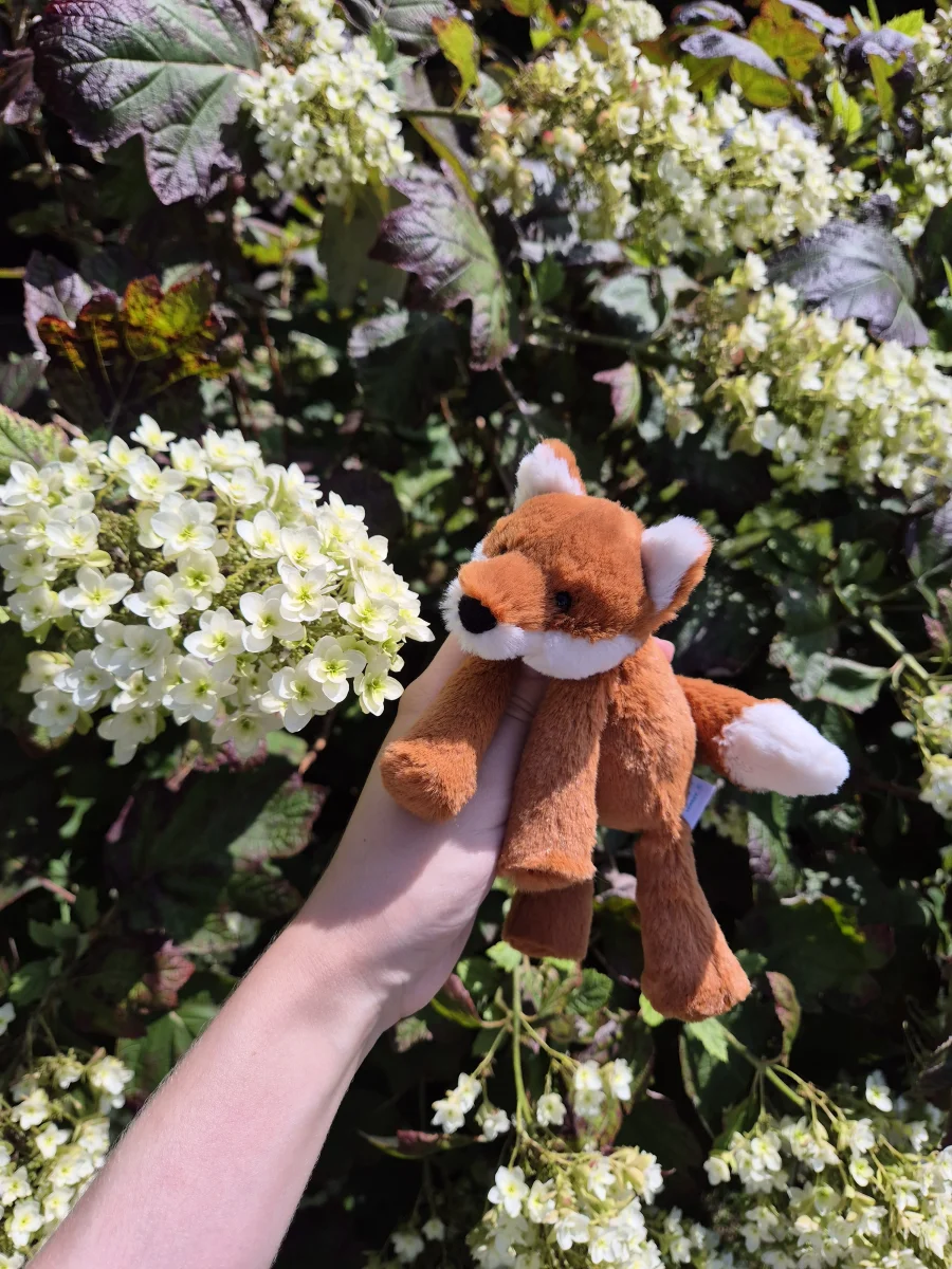 Side - Smudge Fox - Tiny photo by gelisplush