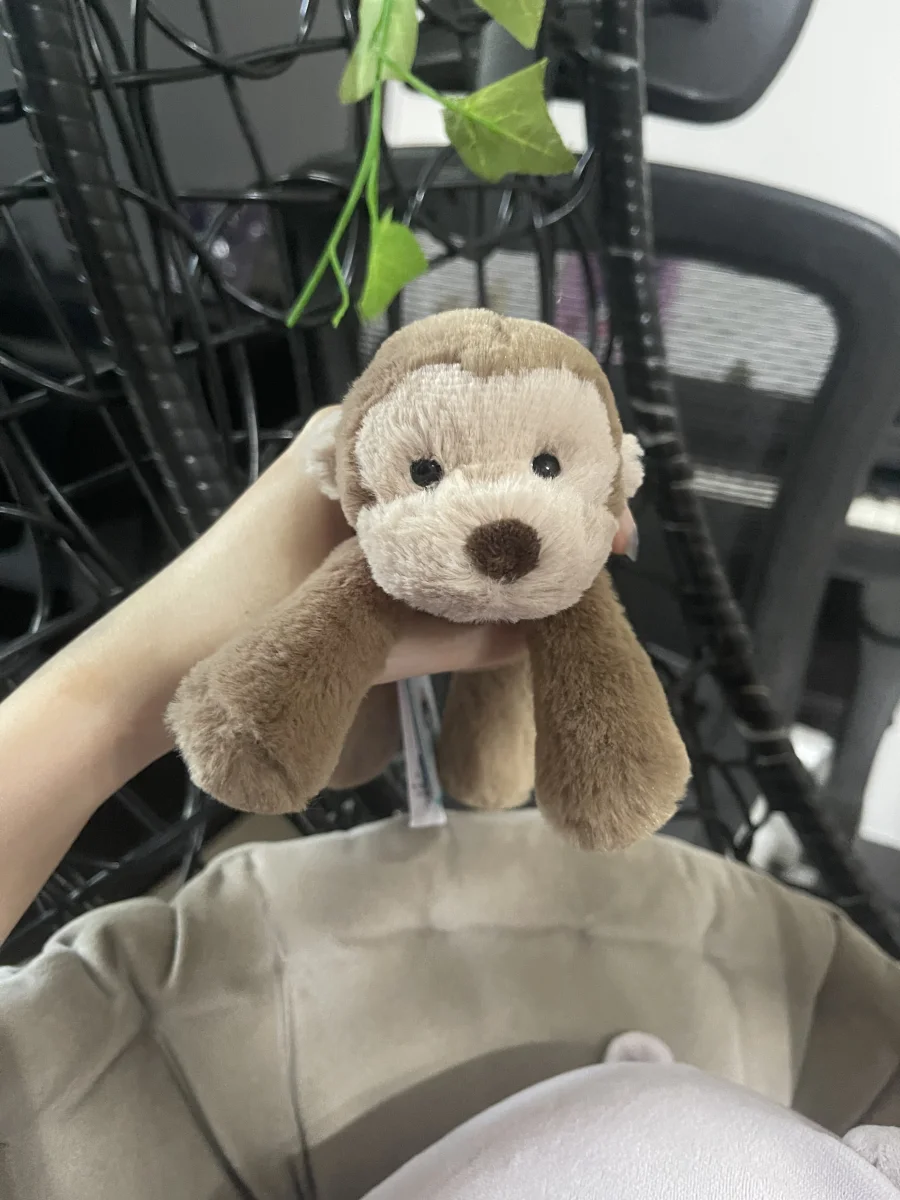Front - Smudge Monkey - Tiny photo by jiaxuan