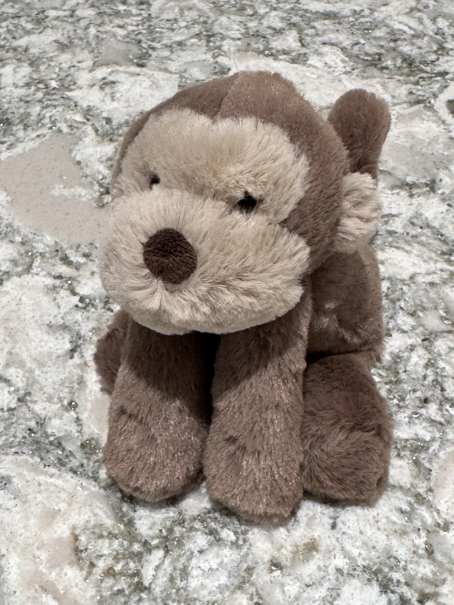Front - Smudge Monkey - Tiny photo by SnowLeopard821