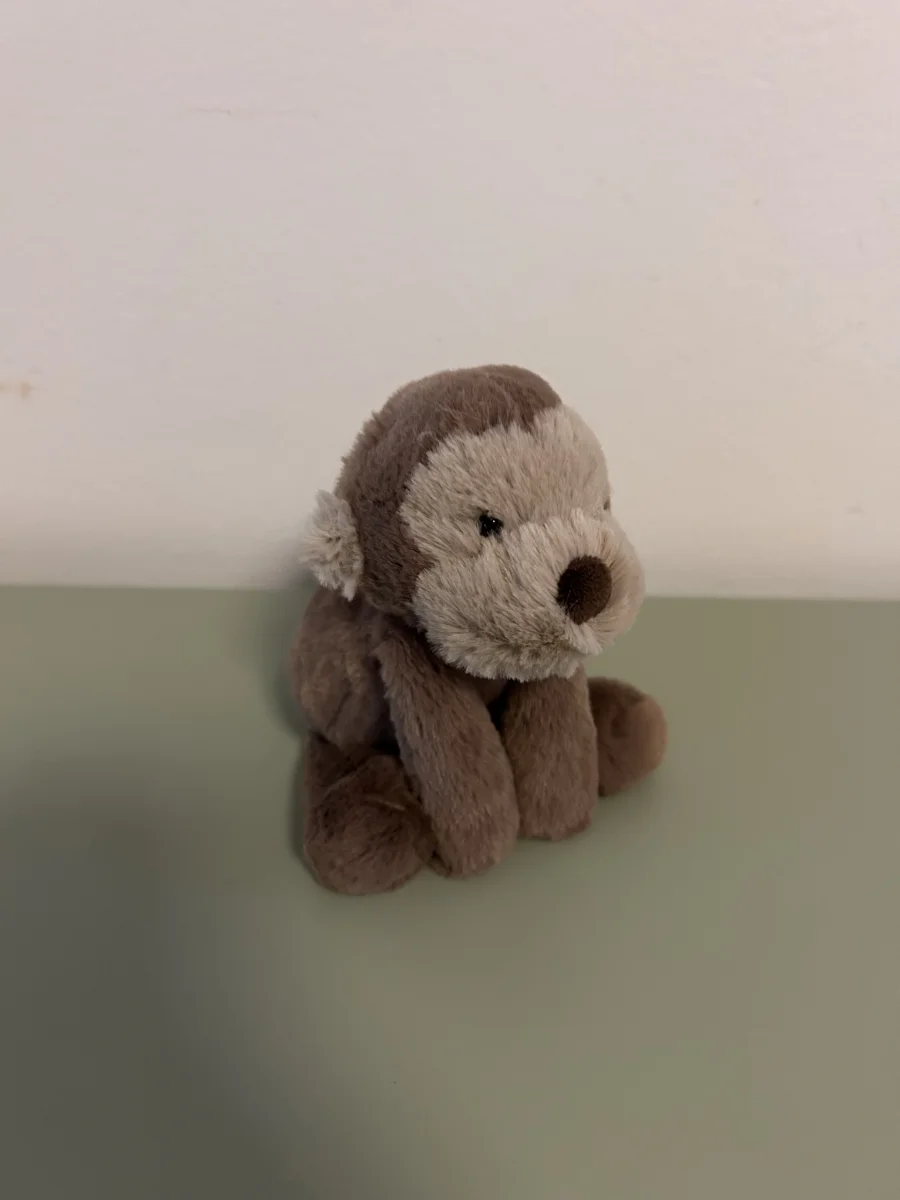 Front - Smudge Monkey - Tiny photo by Martineee