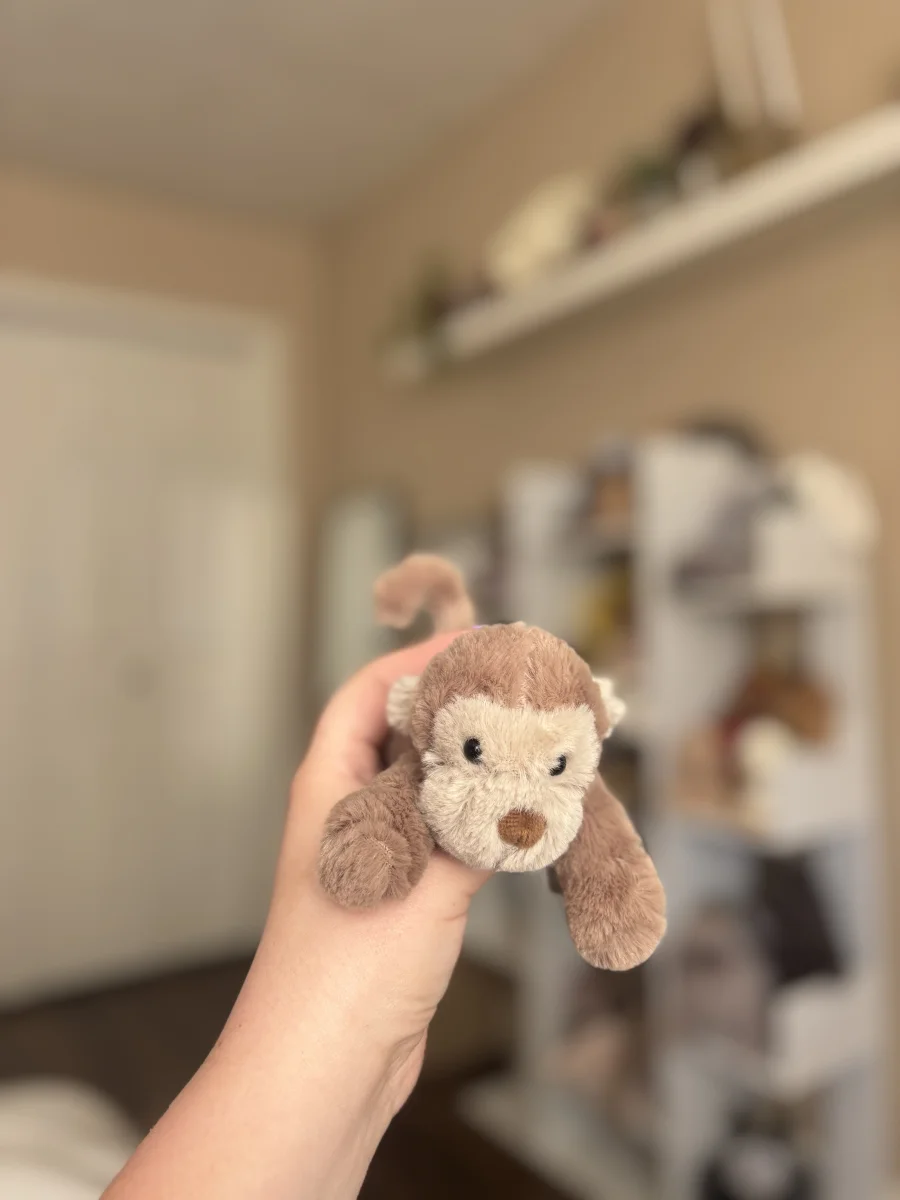 Front - Smudge Monkey - Tiny photo by MaysJellys
