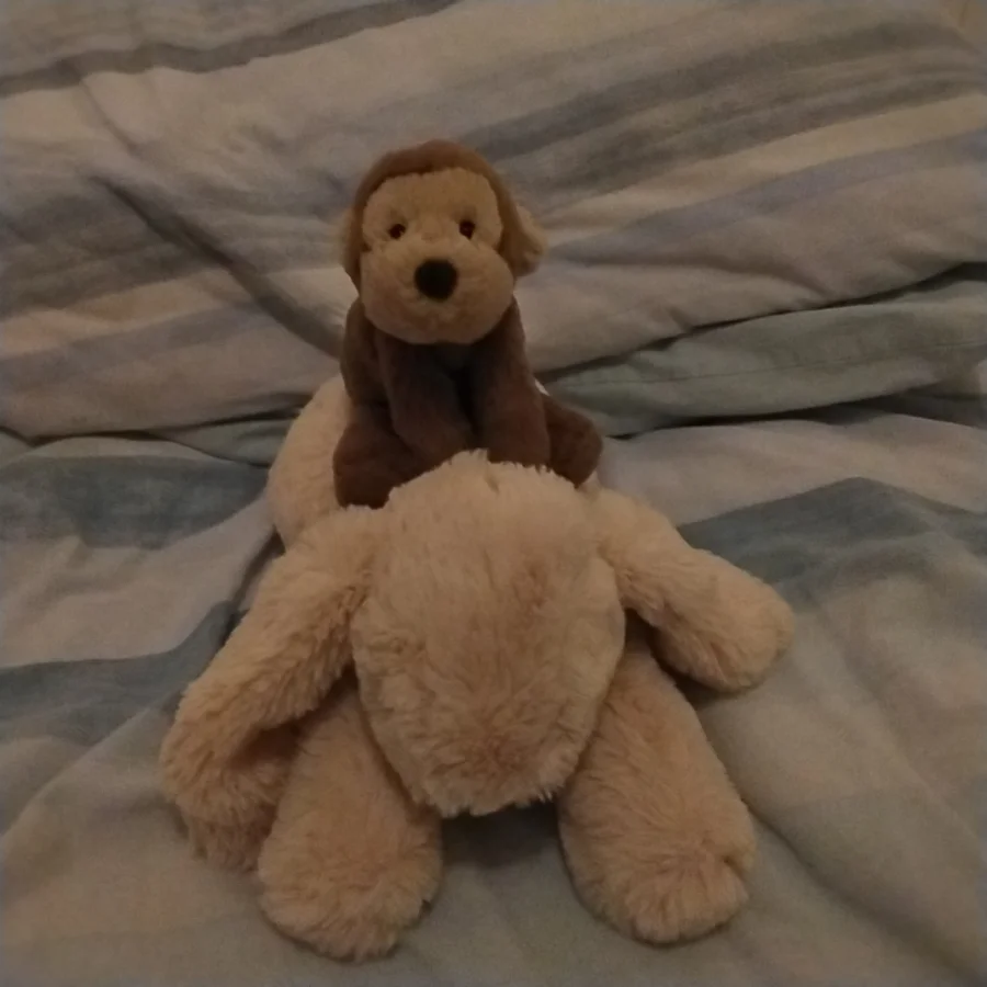 Front - Smudge Monkey - Tiny photo by TheJellyCollector