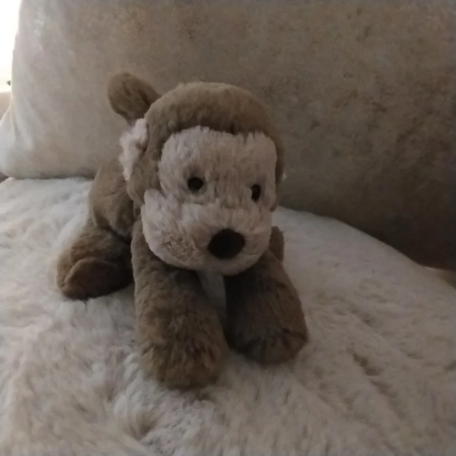 Front - Smudge Monkey - Tiny photo by TheJellyCollector