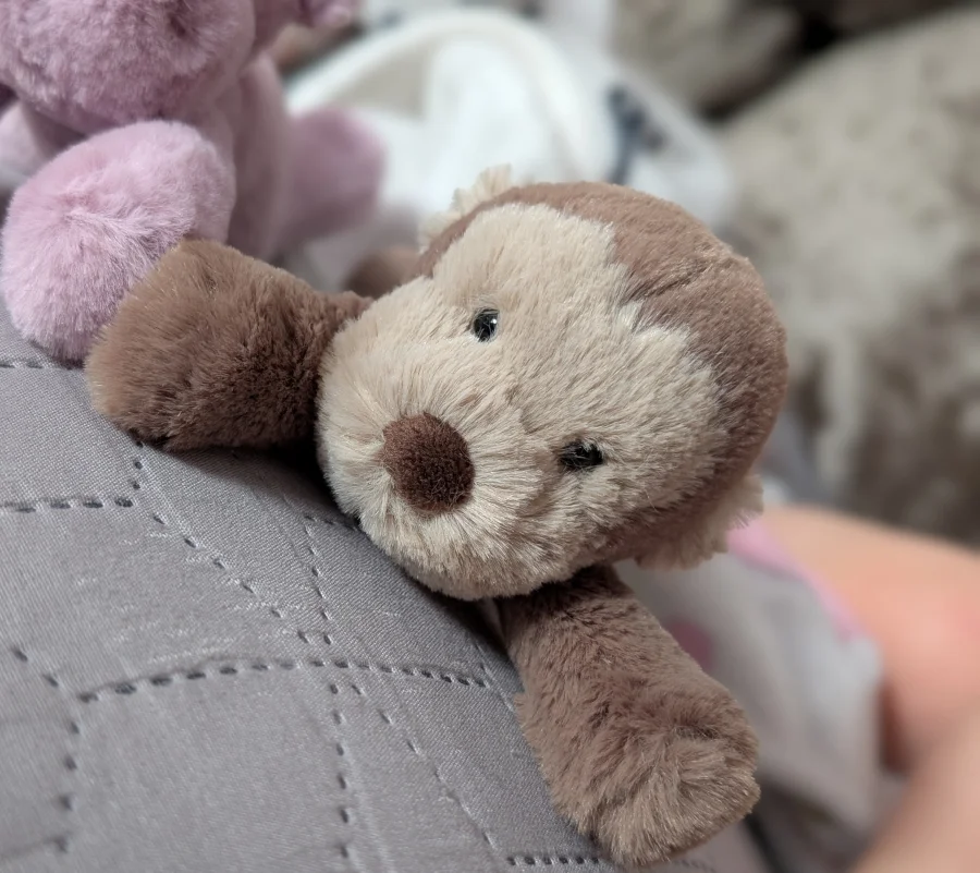 Front - Smudge Monkey - Tiny photo by Jelly_shebear
