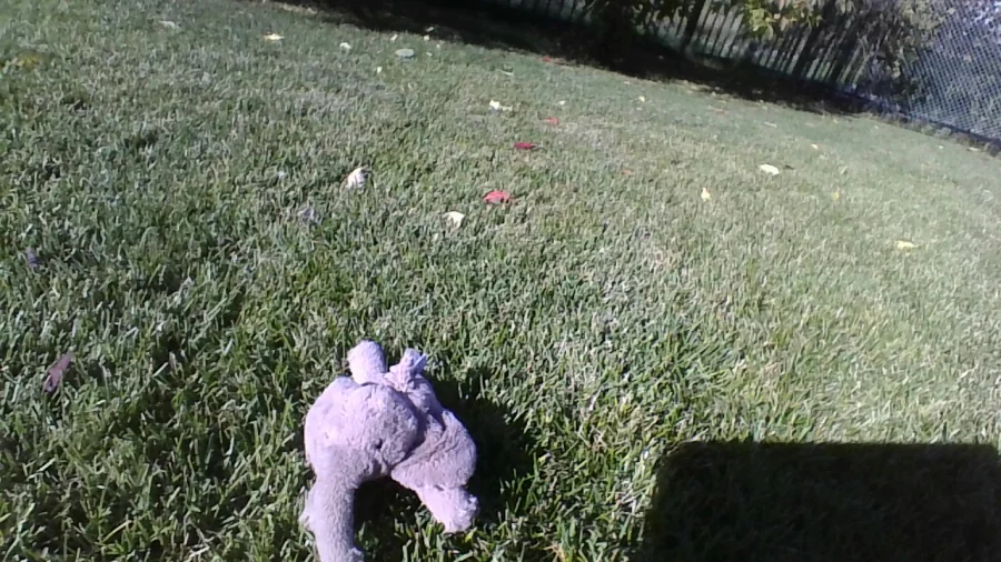 Lifestyle - Smudge Elephant - Tiny photo by Jellycat_Jack_