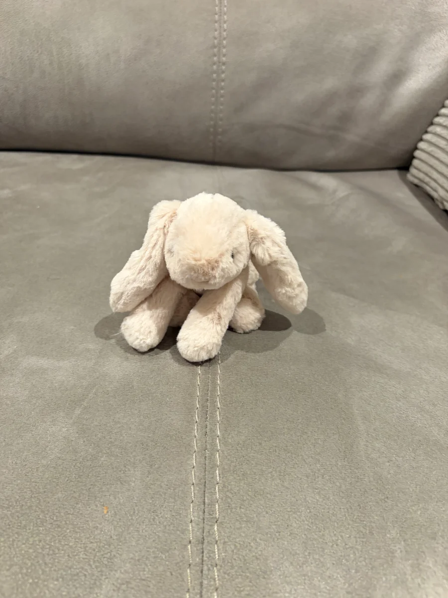Front - Smudge Rabbit -Tiny photo by Seni113