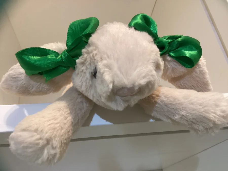 Front - Smudge Rabbit -Tiny photo by TAYLORSWIFT