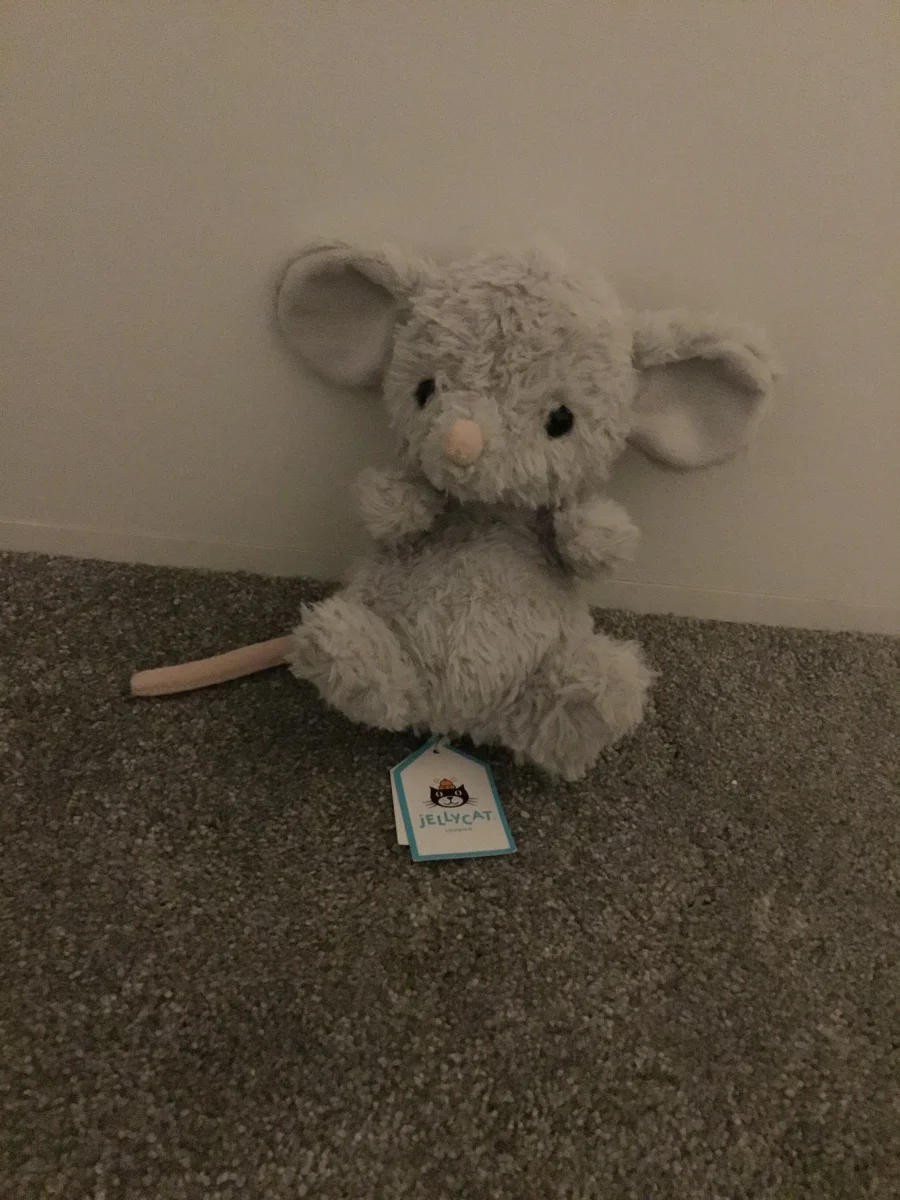 Front - Yummy Mouse photo by Millie67