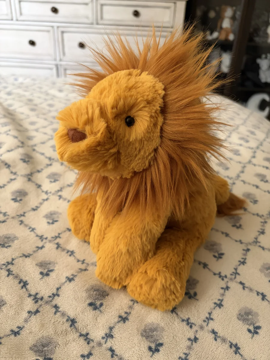 Front - Smudge Lion photo by Stephmarie207