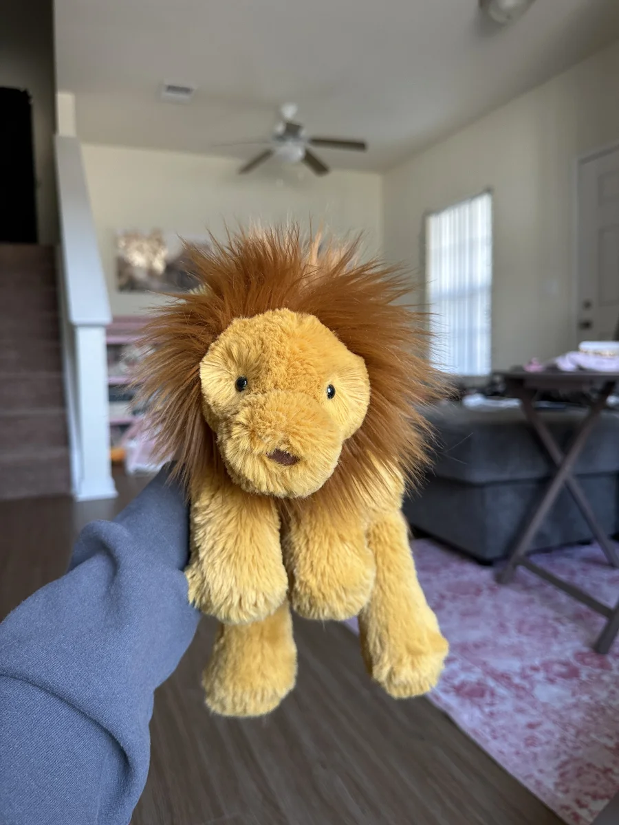 Front - Smudge Lion photo by JodysJellies