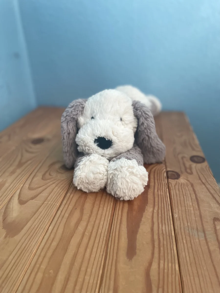 Front - Smudge Puppy photo by cerys.lyne