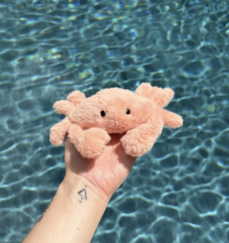 Front - Fluffy Crab photo by AmberrGolden