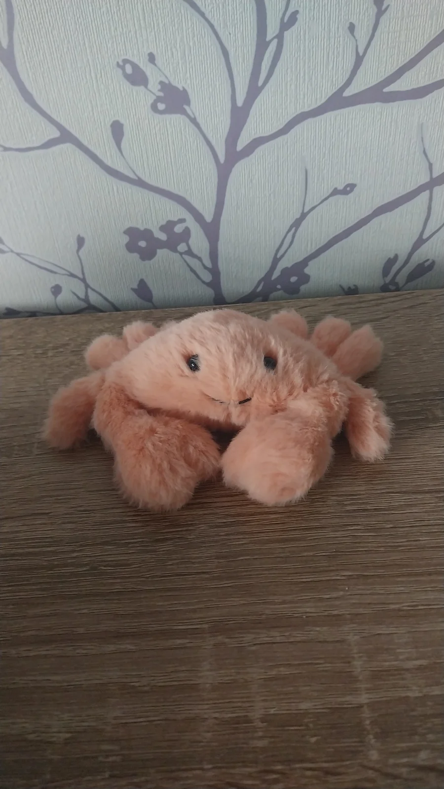 Front - Fluffy Crab photo by Hope_Collectablez