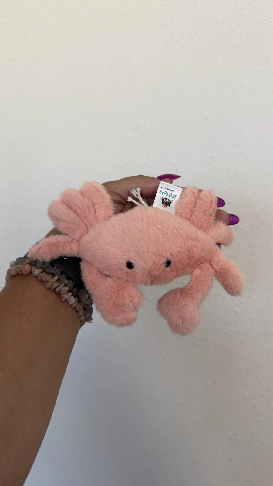 Front - Fluffy Crab photo by bronzieandthejellies