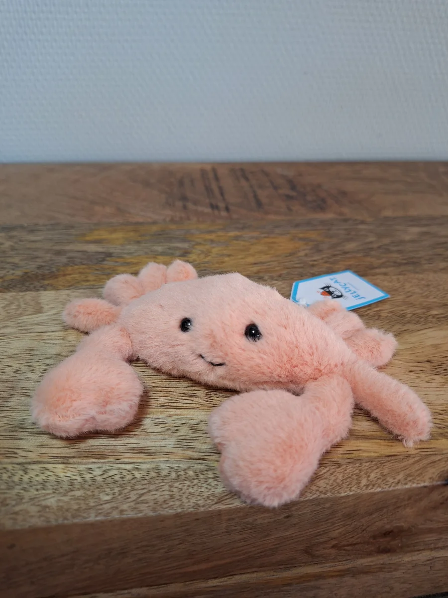 Front - Fluffy Crab photo by Sofie