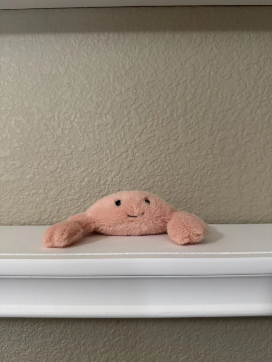 Front - Fluffy Crab photo by jelly_kayla